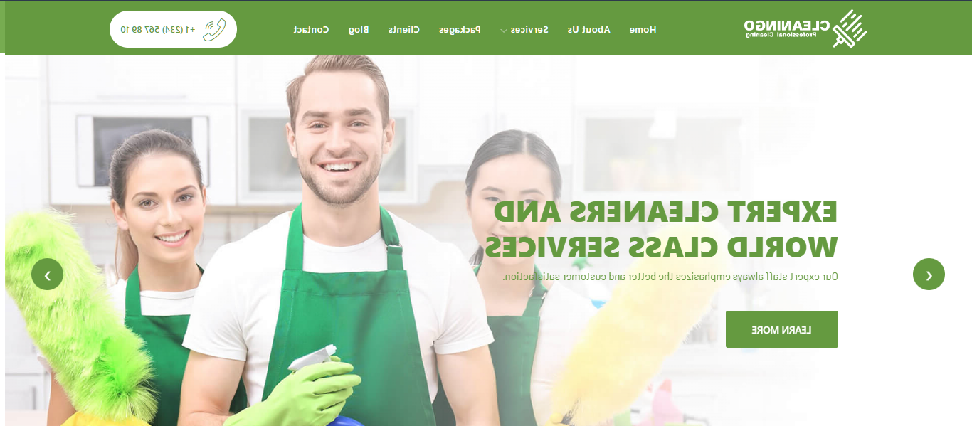 Cleaning Services Websites - Cleaningo