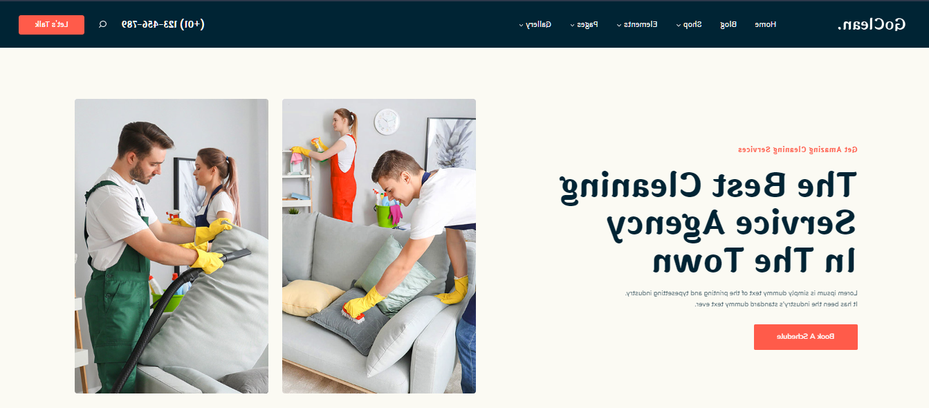 Cleaning Services Websites - GoClean